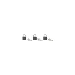 Thirard Lot de 3 cadenas ACERA gris à clé, base 30 mm, anse acier cémenté, s'entrouvrant, 3 clés/cad. - SP - gris 3150269882309_0