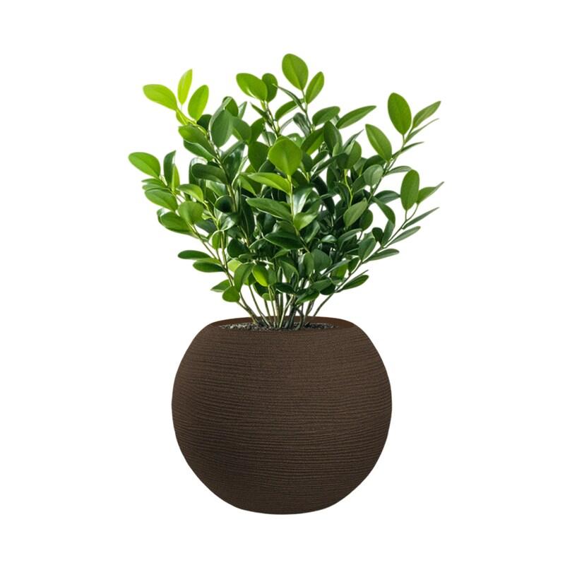 Vase Sphérique En Résine Botticelli Marrone, Pour Plantes D'Intérieur Et D'Extérieur, Diamètre 40Xhauteur 33 Cm - marron 8055829983128_0