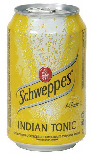 Soda Schweppes Indian Tonic - 33cl x 24 bouteilles - Extraits de quinquina et orange amères_0