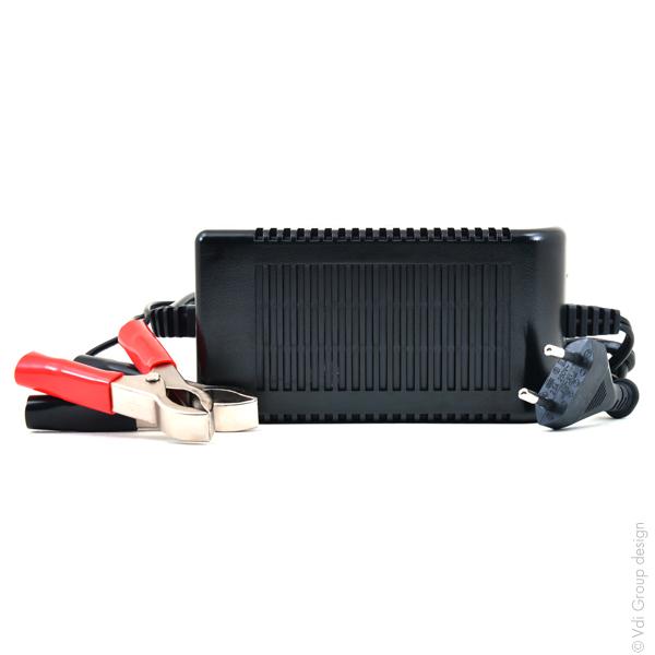 Chargeur plomb NX 6V/4A 110-230V - pinces crocodiles - intelligent avec témoin de charge LED_0