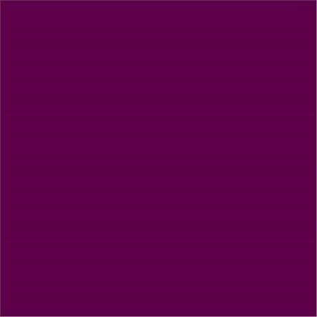 SERVIETTE DOUBLE POINT ECOLABEL 18 G/M² 39X39 CM TISSU PRUNE (VENDU PAR 1200)