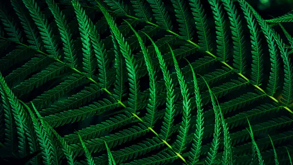 Philips 5000 series 27B2G5601/00 écran plat de PC 68,6 cm (27