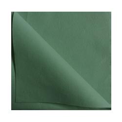 Serviette non tissée 40x40cm Vert Sapin par 800 - vert papier 8032636031273_0