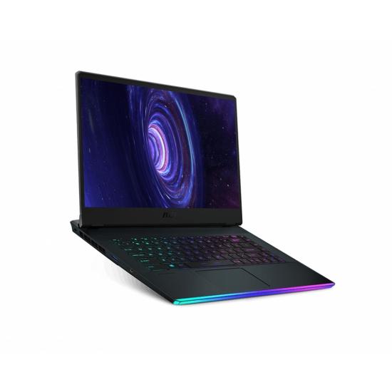 MSI Gaming GE66 Raider 10UE-219FR - Ordinateur Portable Gamer Intel Core i7, RTX 3060, écran 15.6'' 300Hz, SSD 1To, 16Go RAM_0
