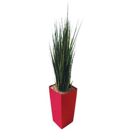 PETIT BAC CARRÉ ROUGE HERBES
