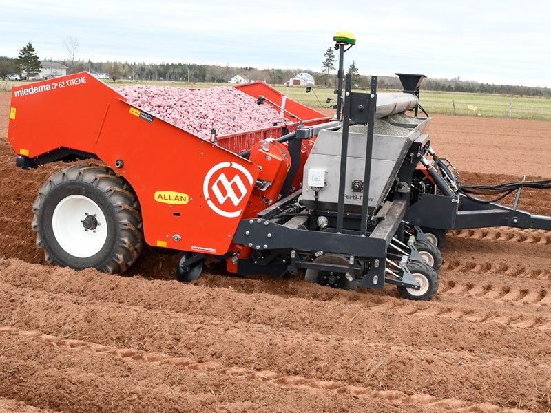 Planteuse CP62 Xtreme - Dewulf BV - 6 rangs - trémie large et système Precision-Planting_0