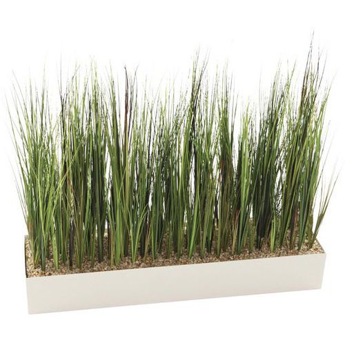 JARDINIÈRE BASSE HERBES HAUTES - BLANC