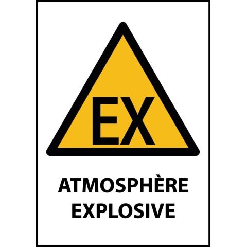 LOT DE 2 - PANNEAU DE DANGER - ATMOSPHÈRE EXPLOSIVE - W021 - ISO 7010 PVC À VISSER A4