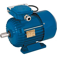 Moteurs électriques asynchrone monophasé SEMH - rotor glissant pour variateur de tension_0