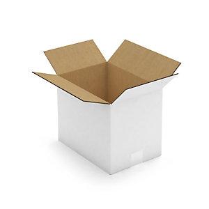 CAISSE CARTON BLANCHE DOUBLE CANNELURE RAJA 31X22X25 CM