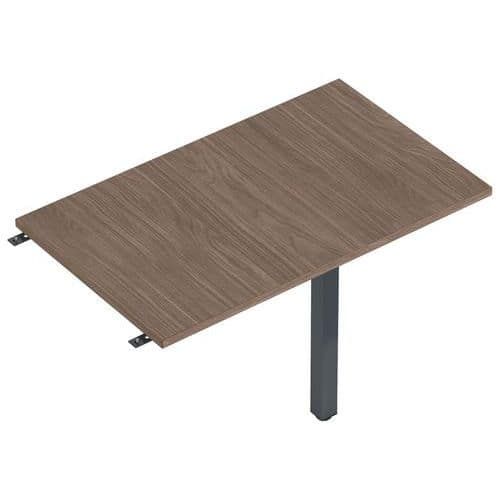 ENIS RETOUR 120 X 60 CM + 1 PIED ANTH. PLT. NOYER - MBA