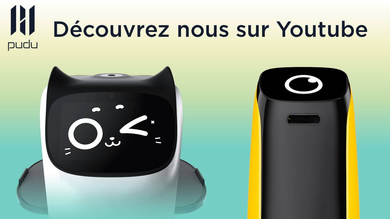 Robots serveurs BellaBot et KettyBot - Gestion du service dans les restaurants de toutes tailles_0