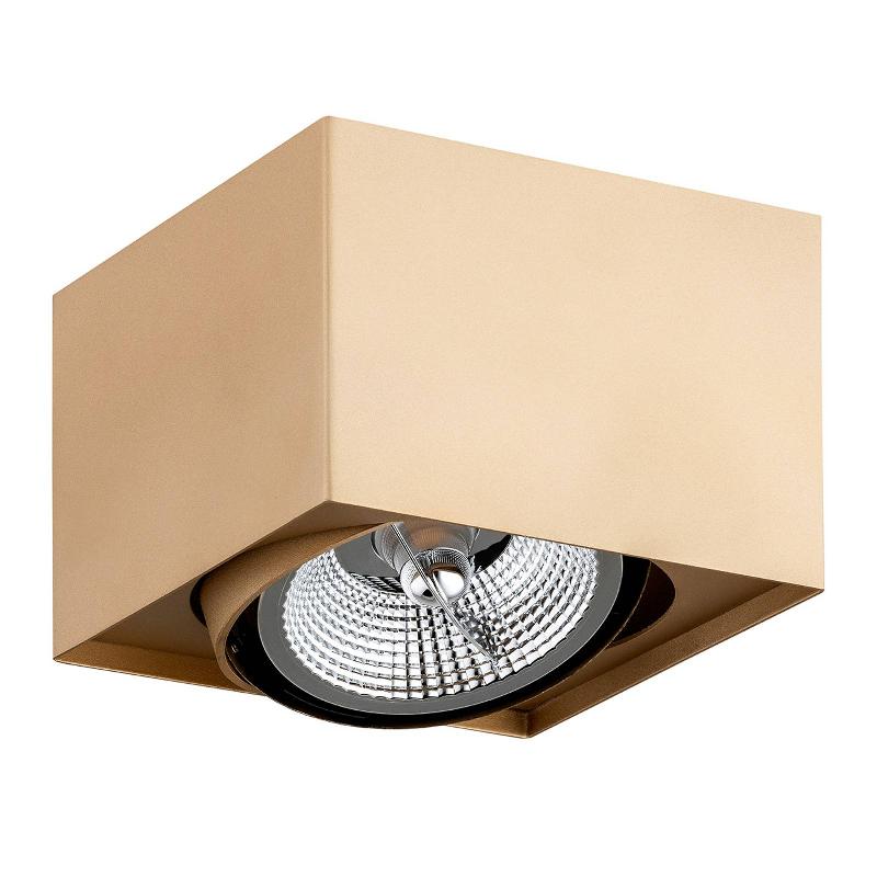 ARGON SPOT POUR PLAFOND RIESTA, DORÉ, À 1 LAMPE