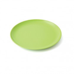 ASSIETTE A DESSERT 19CM CLASSIQUE MELAMINE VERTE