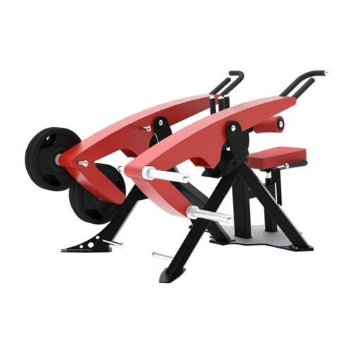 TRICEPS - LAROQ - XTREM