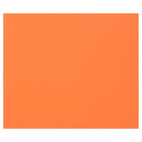 TULIPE RAME 50F A3 160G - ORANGE