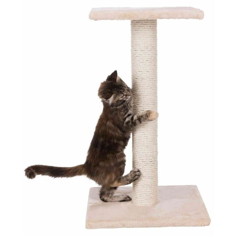 Trixie Arbre A Chat 40 X 40 X 69 Cm Espejo Beige Comparer Les Prix De Trixie Arbre A Chat 40 X 40 X 69 Cm Espejo Beige Sur Hellopro Fr Trixie Arbre A Chat 40 X 40 X 69 Cm Espejo Beige Comparer Les Prix De Trixie Arbre A Chat 40 X 40 X 69 Cm Espejo Beige Sur Hellopro Fr