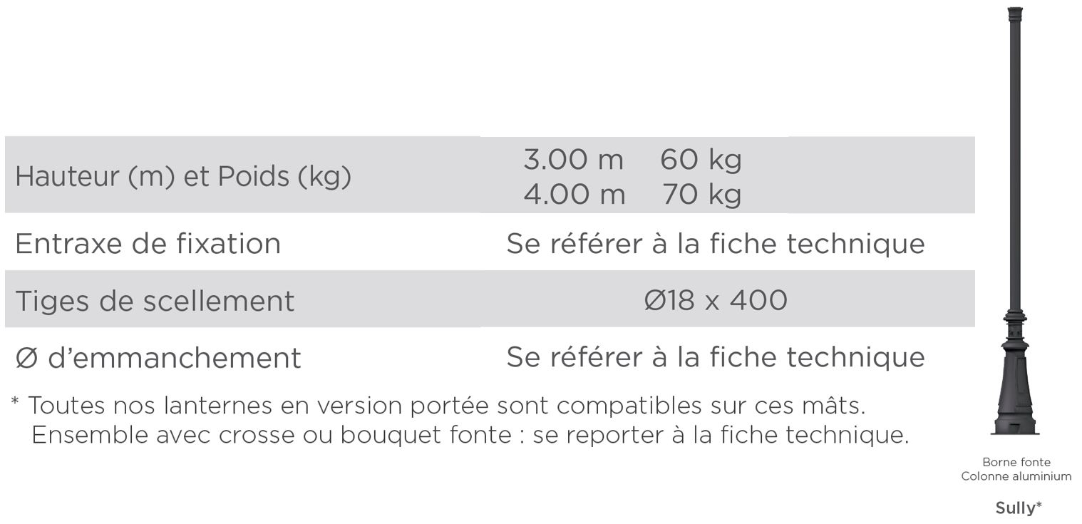 Mât d'éclairage public Sully - hauteur 3 à 4 m - fonte thermolaquée GL-250 avec protection anticorrosion_1