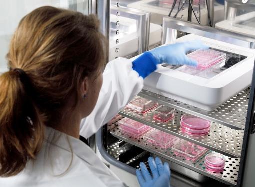 SYSTÈME D'IMAGERIE CELLULAIRE OMNI FL CYTOSMART
