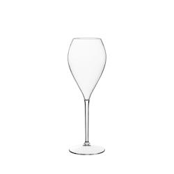 Everyverre Flûtes Lounge 24 cl - plexi Transparent X 6 - 3662731556422_0