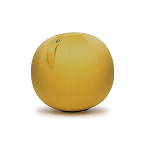 Alba Ergo Ball - Siège ballon ergonomique pour bureau - Housse tissu Gris -  Sièges Ergonomiquesfavorable à acheter dans notre magasin