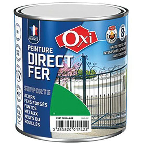 DIRECTE FER LISSE VERT FEUILLAGE FORMULE AU SOLVANT