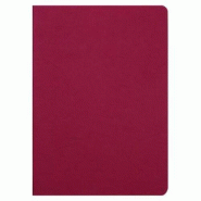 Clairefontaine Lot de 5 Cahier Age Bag A4, 96p./48 feuilles 90 g/m² piquées, couv. Coloris rouge, uni - 3329687330024