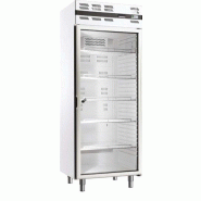 Armoire réfrigérée positive ventilée GN 2/1 535L porte vitrée SKINPLATE AFI Collin-Lucy