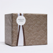 Papier cadeau Monts enneigés chocolat 0,70cm x50m