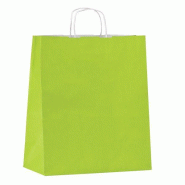 Sac kraft lisse vert anis poignées torsadées 22x10x29cm - par 50 - papier kraft