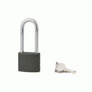 Cadenas ACERA gris à clé, base 40 mm, anse 1/2 haute 61 mm, anse acier cémenté, 3 clés - SERRUPRIX - gris 3150269880435 Cadenas ACERA gris à clé, base 40 mm, anse 1/2 haute 61 mm, anse acier cémenté, 3 clés - SERRUPRIX - gris 3150269880435