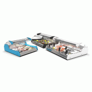 Vitrine réfrigérée spéciale Poissons 2 bacs GN 1/1 statique XL SAYL - Noir