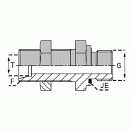 Raccords à bague Mâle BSP cylindrique (Whitworth) - Passe-cloison - FUMCYC0604 avec joint élastomère encastré et contre écrou