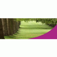 Gazon parc Gazon parc