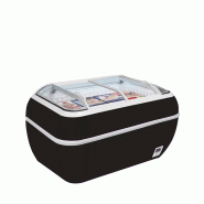 Congélateur de libre service noir refroidissement statique 425 litres - PTWIN HEAD B-F