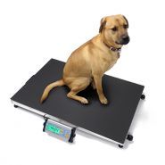 Balance animaux - adam equipment - portables