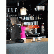 Moulin à café SANTOS professionnel expresso modèle automatique 55 - 55BF- SD