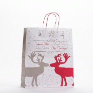 Sac kraft Christmas in love poignées torsadées 26x32x12cm - par 50