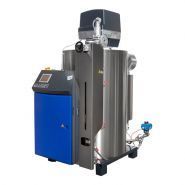 Générateur de vapeur au fuel ou au gaz - débits de 100 kg/h à 560 kg/h / JUMAG