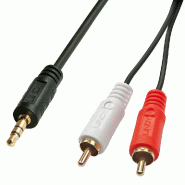 Lindy 35680 Câble audio 1 m 3,5 mm 2 x RCA Noir - noir 35680