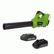 Souffleur de Feuilles Sans Fil 20V + Batterie 2Ah + Chargeur rapide 2 Vitesses Nettoyage Terrasse Allée Jardin VITO - vert plastique 3701599339515