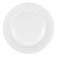 Thouy 100 Assiettes carton blanche 23 cm recyclable – Vaisselle jetable éco-responsable - blanc 3700701900155