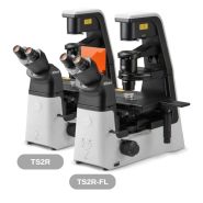 Eclipse ts2r : microscope de recherche inversé nikon