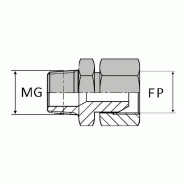 Adaptateur droit mâle gaz conique x femelle tournant NPSM - WMCFNPSM0606 - MGCO3/8 / FNPSM3/8 - Ø 3/8' - Ø 14.41 mm