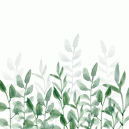 Serviettes 33 x 33cm haie d'honneur (240 unités) MESA BELLA - blanc Matériau naturel 3701168923282