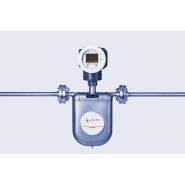 Débitmètre Coriolis : L-Cor 8100