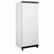 Refroidisseur de stockage GN2/1 UR600 ( 605 / 570 L) blanc TEFCOLD