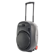 Sonorisation portable Ibiza "TWS" 350W - PORT 12 UHF MK2 Sonorisation portable Ibiza "TWS" 350W - PORT 12 UHF MK2