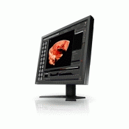 Ecran eizo radiforce rs110