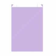 Pochette cadeau kraft Lilas 70g/m² 12x4,5x20cm - par 150